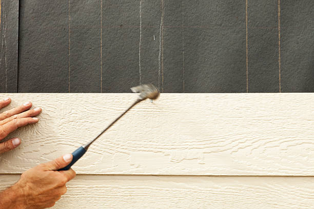 Best Brick Veneer Siding  in Alsip, IL